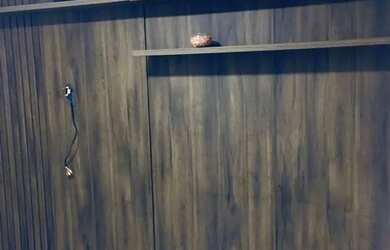 Imagem 3: Apto - 2 Qts - Dom Bosco - Itajaí/SC