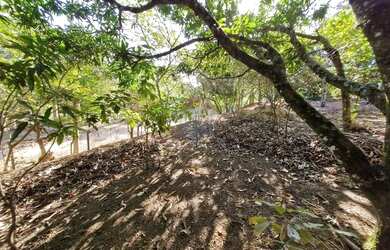 Imagem 5: Terreno 375m² no Chácara Recreio Floresta, por R$ 225.000,00 em Jaguariúna...