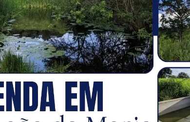 Imagem: A fazenda está localizado em Coração de Maria, BA à venda