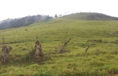 Imagem 10: Fazenda PR aceita permuta