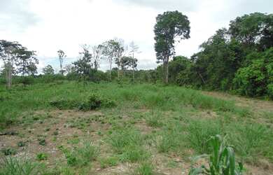 Imagem: O terreno possui 16.700m² de Área e está localizado em Aleixo