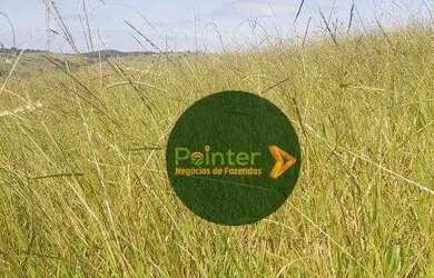 Imagem 4: Fazenda à venda, 72 hectares por R$ 2.500.000 - Zona Rural - Luziânia/GO