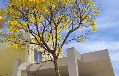 Imagem 11: Casa com piscina no Jardins Mangueiral com piscina QC 9 por R$ 645.000