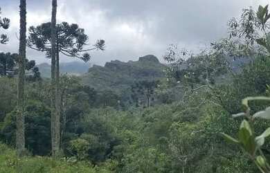 Imagem 5: Terrenos de 20.000m² com vista para a Pedra da Águia em Urubici