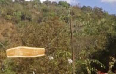 Imagem 3: Fazenda. Varanda