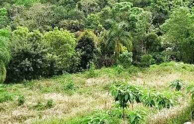 Imagem 4: Terreno para Venda em Nova Petrópolis, Linha Imperial