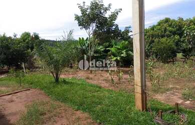 Imagem 4: Chácara Residencial disponível para Venda no bairro Área Rural em Uberlândia-MG