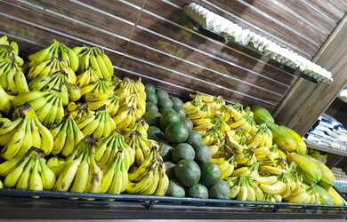 Imagem 2: Passo ponto com sacolão todo montado