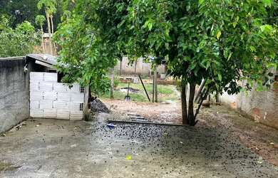 Imagem 13: EXCELENTE CASA EM UBATIBA - QUINTAL AMPLO E ÁREA GOURMET