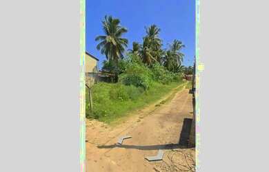 Imagem 2: Terreno Vista Mar em São Miguel dos Milagres, AL