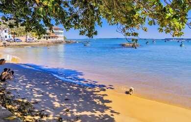 Imagem: O terreno possui 300m² de Área e está localizado em Village