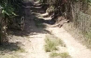 Imagem: O terreno possui 500m² de Área e está localizado em Agua