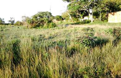 Imagem 3: Legalizado. 692m² de Área Privada