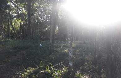 Imagem 2: Terreno. 1.000m² de Área