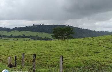 Imagem: Fazenda 330 alqueires Região de Ariquemes