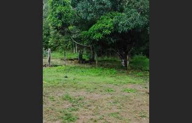 Imagem 8: Fazenda. Varanda