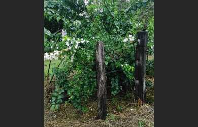 Imagem 11: Fazenda. Varanda