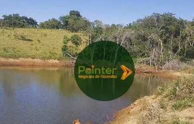 Imagem 10: Fazenda à venda, 72 hectares por R$ 2.500.000 - Zona Rural - Luziânia/GO