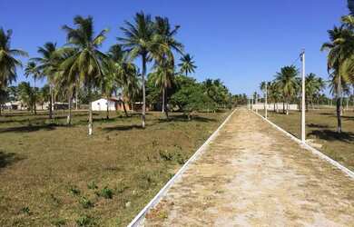 Imagem 9: Loteamento Parque Dos Coqueiros Pronto Para Construir Em Paracuru Ultimas...