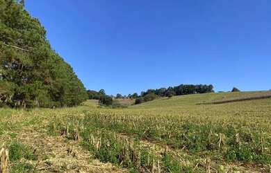 Imagem: O terreno possui 500m² de Área e está localizado em Usina