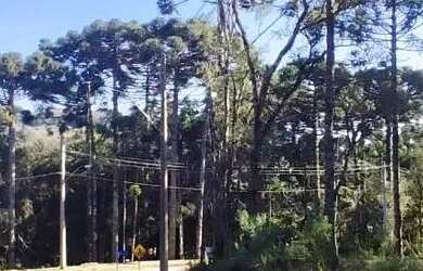 Imagem 7: Terreno para Venda em Nova Petrópolis, Linha Imperial