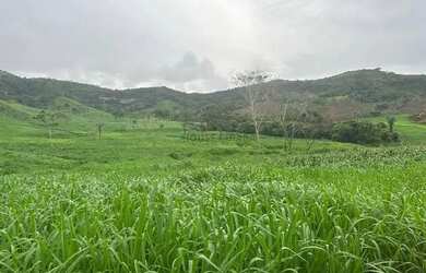 Imagem: A fazenda possui 250m² de Área e está localizado em Jardim