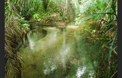 Imagem 3: Alta velocidade de vendas garanta antes do fim