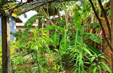 Imagem 5: Casa na zona sul cohab aceita financiamento