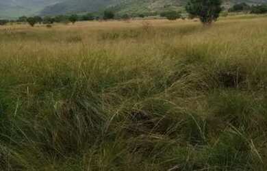 Imagem 6: Fazenda com rio em Iaçu-BA