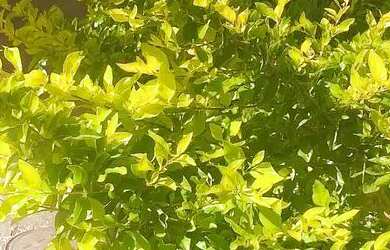 Imagem: A casa possui 2 Dormitórios, 2 Banheiros, 2 Vagas na garagem