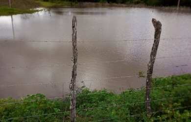 Imagem 3: Vendo terreno fazenda. 340.000m² de Área