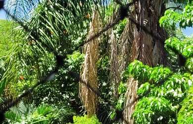 Imagem: A casa em condomínio possui 3 Dormitórios, 2 Banheiros, 1