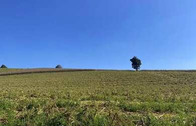 Imagem 2: Lote/Terreno para venda possui 500 metros quadrados em Usina - Atibaia...