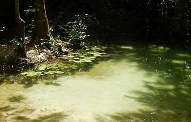 Imagem: A chácara está localizado em Belém, PA para alugar por R$750