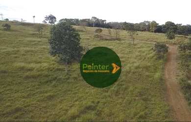 Imagem 6: Fazenda à venda, 72 hectares por R$ 2.500.000 - Zona Rural - Luziânia/GO