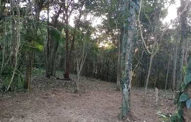 Imagem 4: Terreno. 1.000m² de Área