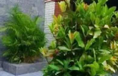 Imagem 3: CASA ASSOBRADADA - POMPÉIA - SP