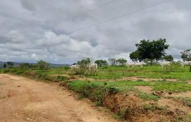 Imagem 10: Fazenda a venda em Davinópolis Goiás