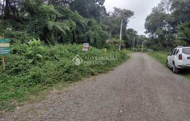 Imagem 2: TERRENO NO BAIRRO ALPES VERDES EM CANELA