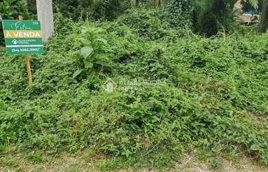 Imagem 5: TERRENO NO BAIRRO ALPES VERDES EM CANELA