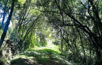 Imagem 12: Vista Incrível em Ibiúna: Terreno com Paisagem Exuberante, Perfeito para Relaxar!