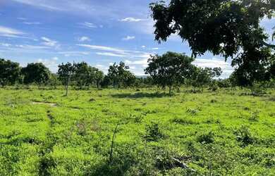 Imagem: A fazenda possui 350m² de Área e está localizado em Nossa