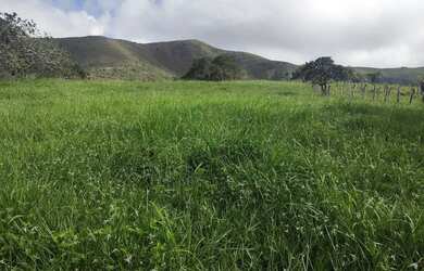 Imagem: O terreno possui 60.000m² de Área e está localizado em São