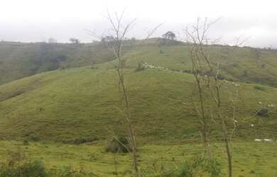 Imagem 12: Fazenda PR aceita permuta