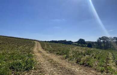 Imagem 3: Lote/Terreno para venda possui 500 metros quadrados em Usina - Atibaia...