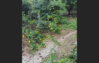 Imagem 9: Fazenda. Varanda