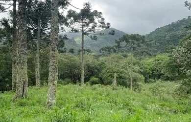 Imagem 6: Terrenos de 20.000m² com vista para a Pedra da Águia em Urubici