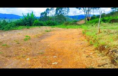 Imagem: O terreno possui 1.000m² de Área e está localizado em Pedra