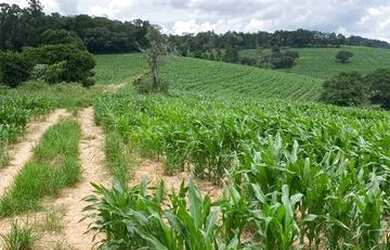 Imagem 2: Lote/Terreno para venda possui 500 metros quadrados em Usina - Atibaia...