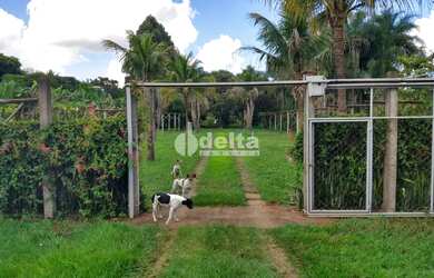 Imagem 11: Chácara Residencial disponível para Venda no bairro Panorama em Uberlândia-MG